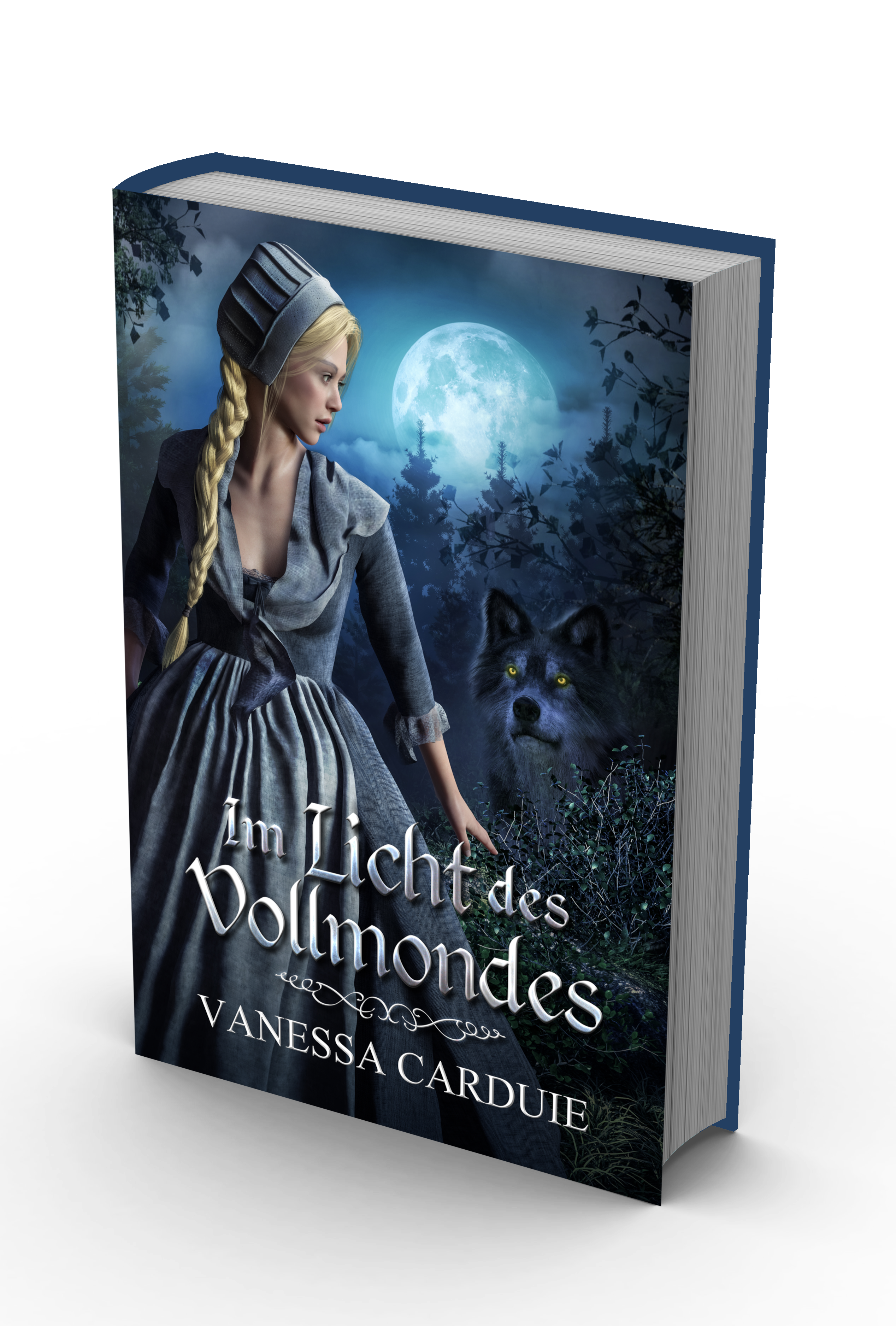 //www.vanessa-carduie.com/wp-content/uploads/07_book-ILdV.png
